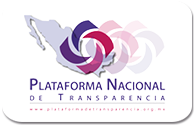CONSULTA PUBLICA
